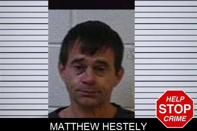 Matthew Hestely