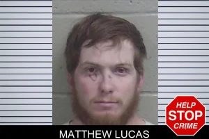 Matthew Lucas mugshot