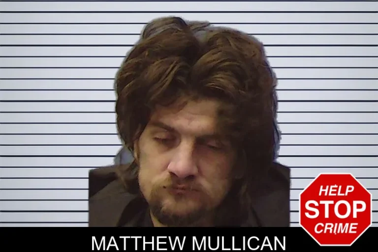 Matthew Mullican