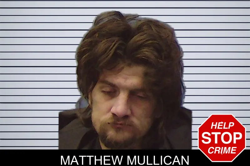 Matthew Mullican Mugshots