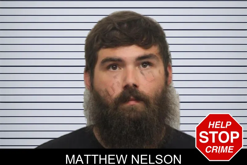 Matthew Nelson mugshot