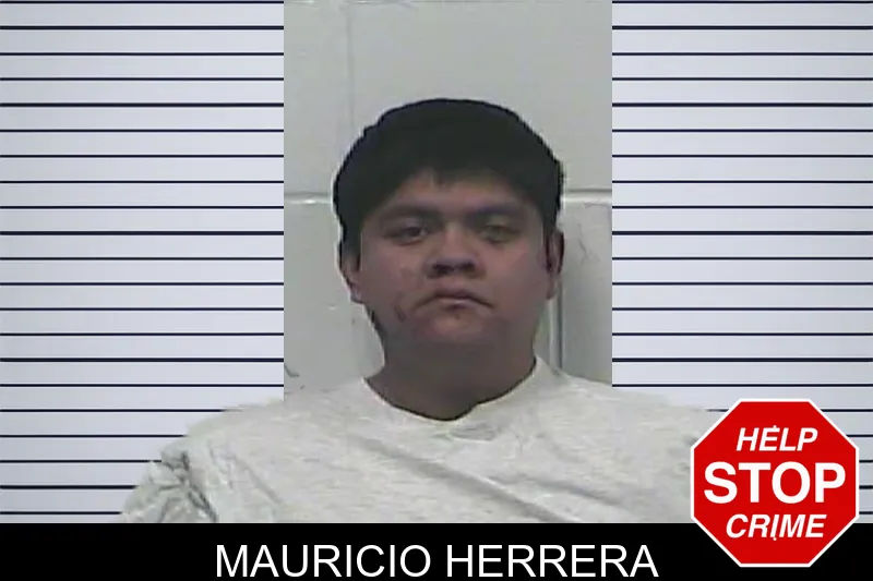 Mauricio Herrera Mugshots