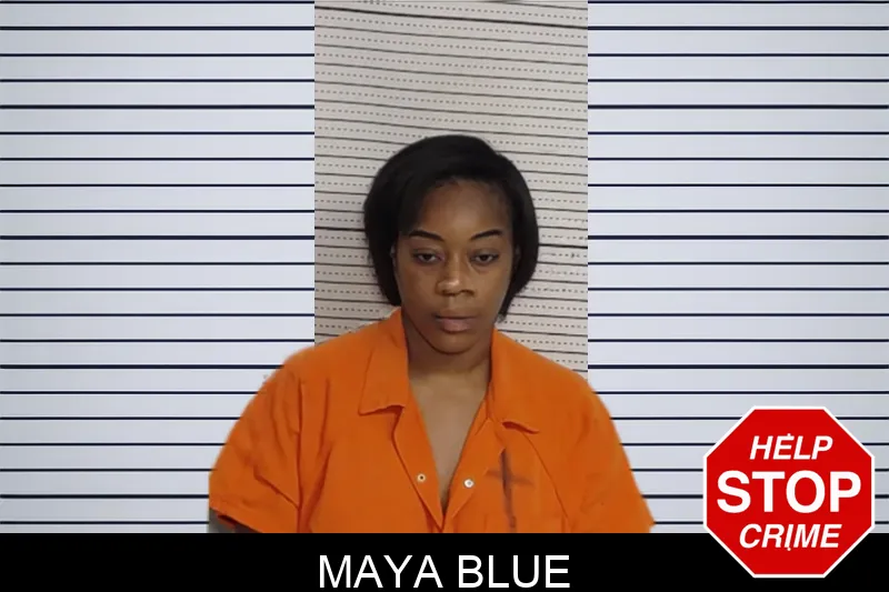 Maya Blue Mugshots