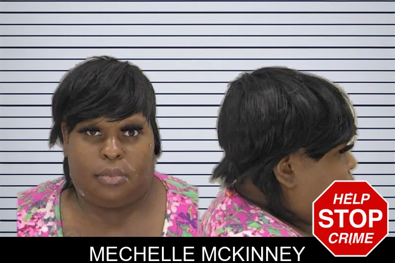 Mechelle McKinney Mugshots
