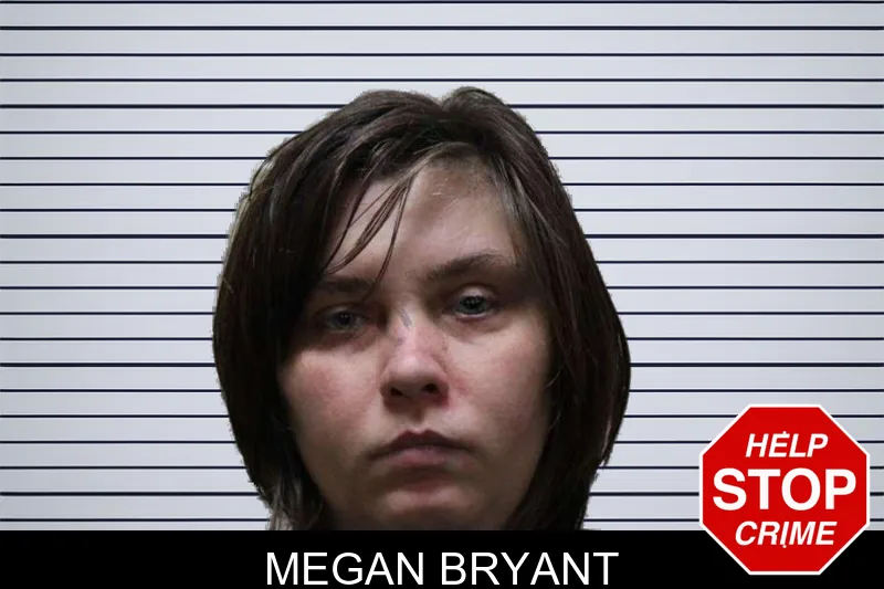 Megan Bryant mugshot – Haralson County , Georgia Megan Bryant mugshot