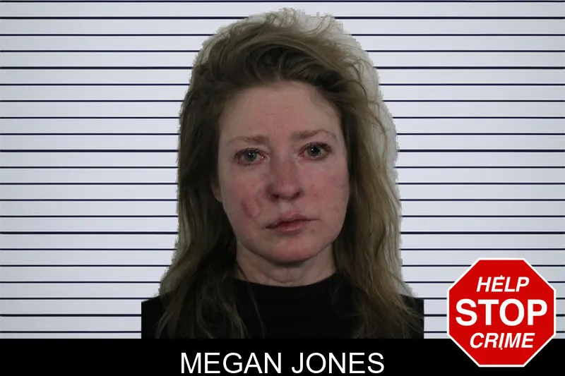 Megan Jones Mugshots