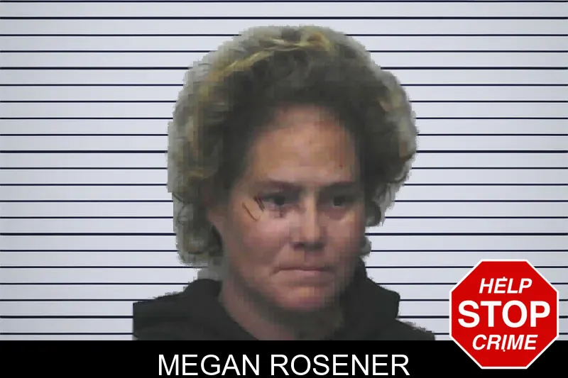 Megan Rosener mugshot