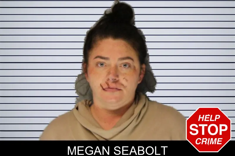Megan Seabolt Mugshots