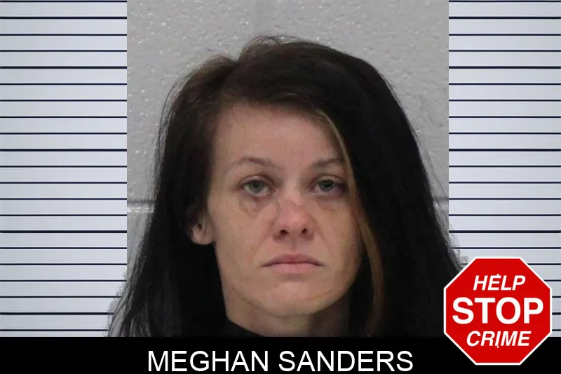 Meghan Sanders mugshot