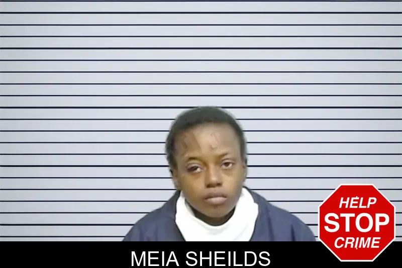 Meia Sheilds mugshot – Fulton County , Georgia Meia Sheilds mugshot