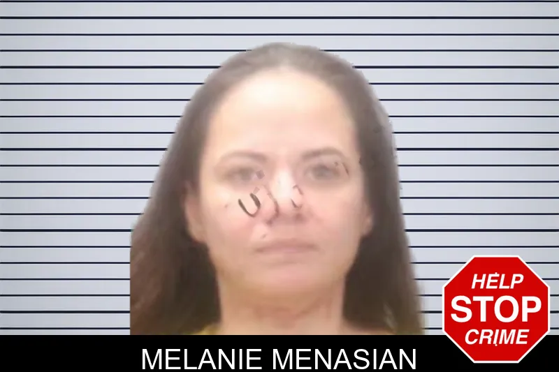 Melanie Menasian Mugshots