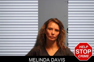 Melinda Davis mugshot