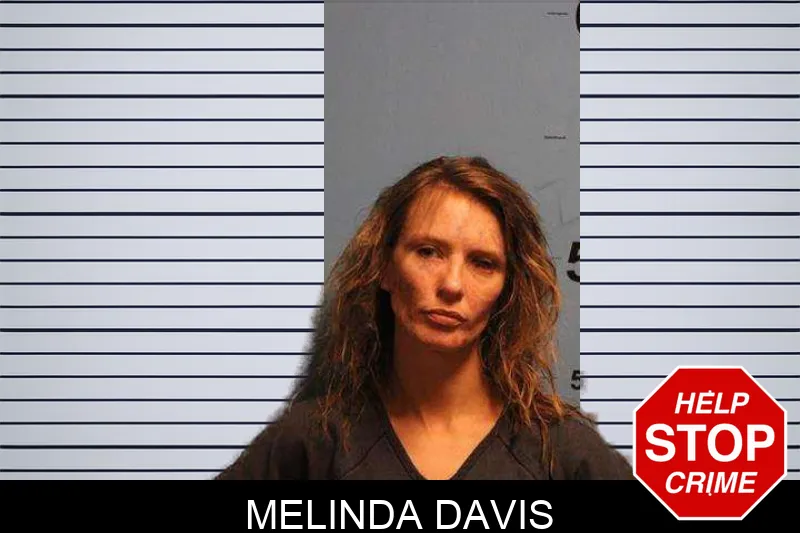 Melinda Davis Mugshots