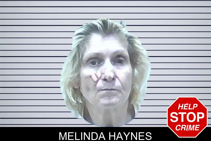 Melinda Haynes Mugshots