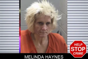 Melinda Haynes mugshot