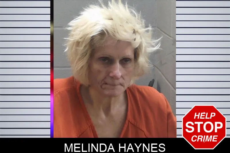 Melinda Haynes Mugshots