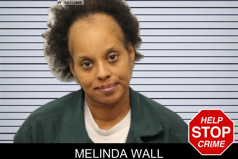 Melinda Wall mugshot – Chatham County , Georgia Melinda Wall mugshot