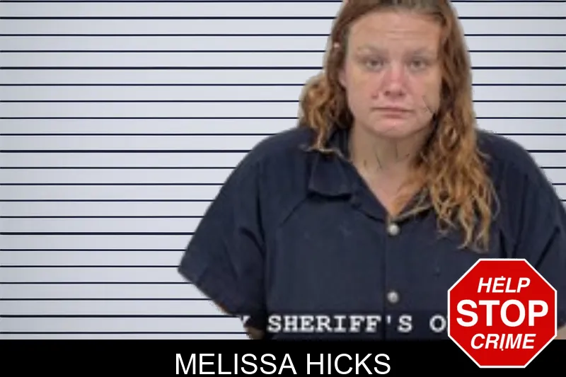 Melissa Hicks mugshot – Walton County , Georgia Melissa Hicks mugshot