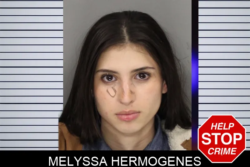 Melyssa Hermogenes mugshot