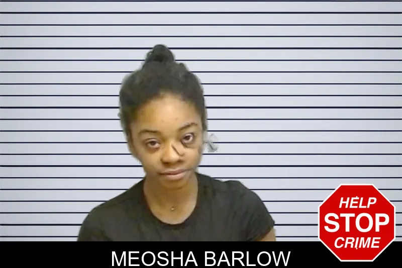 Meosha Barlow mugshot – Fulton County , Georgia Meosha Barlow mugshot