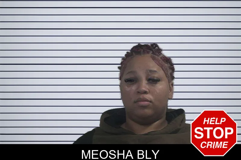 Meosha Bly Mugshots