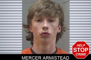 Mercer Armistead mugshot