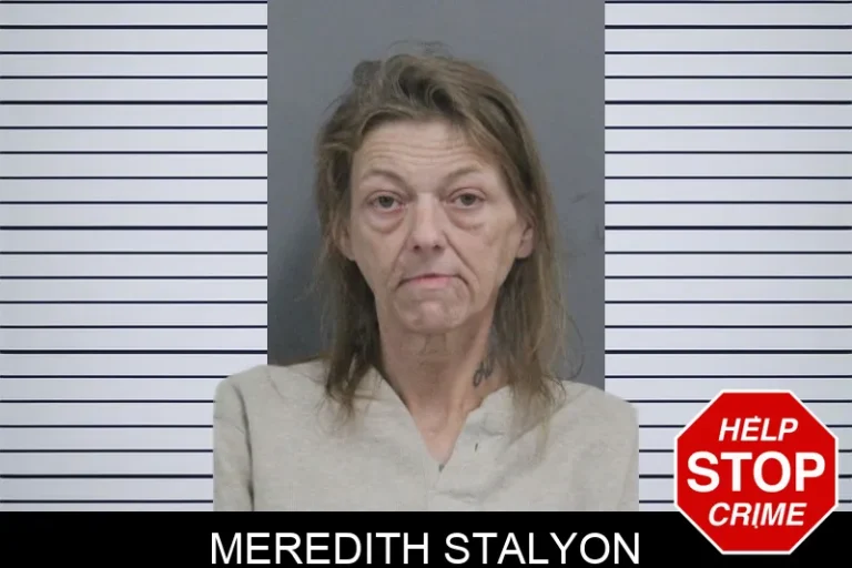 Meredith Stalyon mugshot – Catoosa County , Georgia Meredith Stalyon