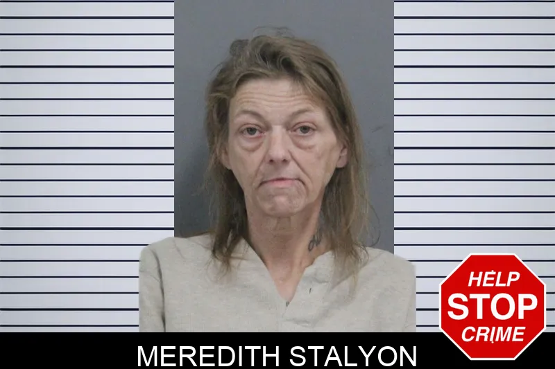 Meredith Stalyon mugshot