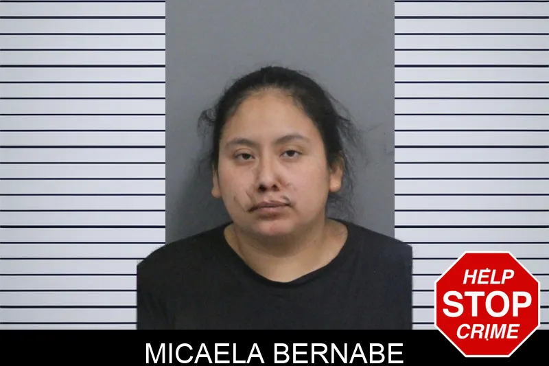 Micaela Bernabe mugshot – Catoosa County , Georgia Micaela Bernabe mugshot