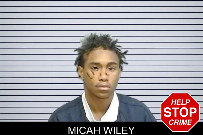 Micah Wiley Mugshots