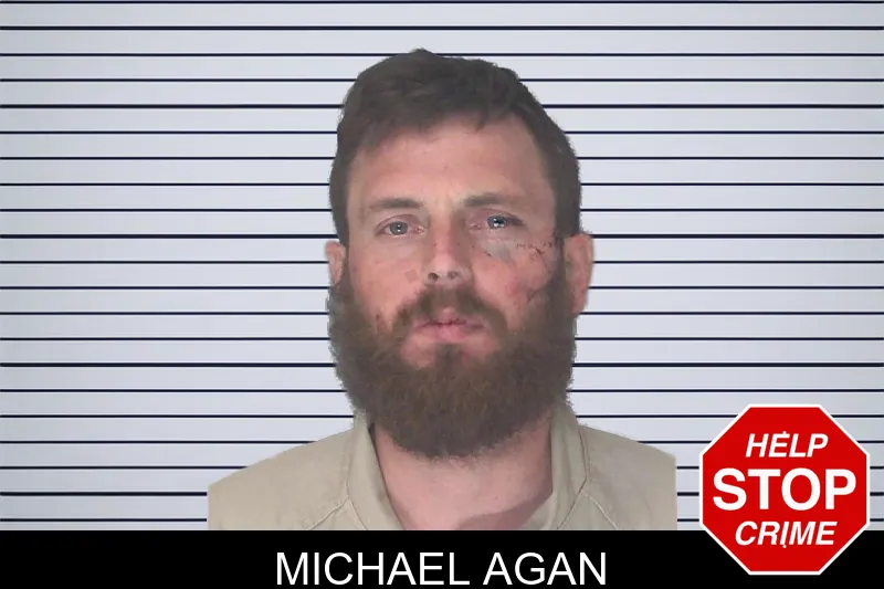 Michael Agan Mugshots