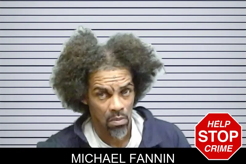Michael Fannin mugshot