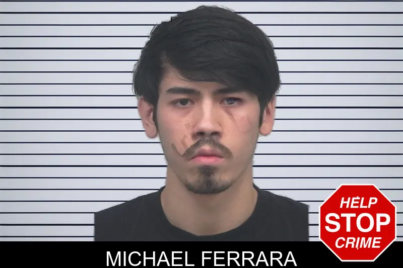 Michael Ferrara Mugshots