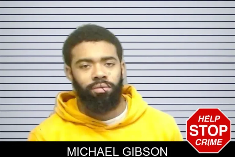Michael Gibson