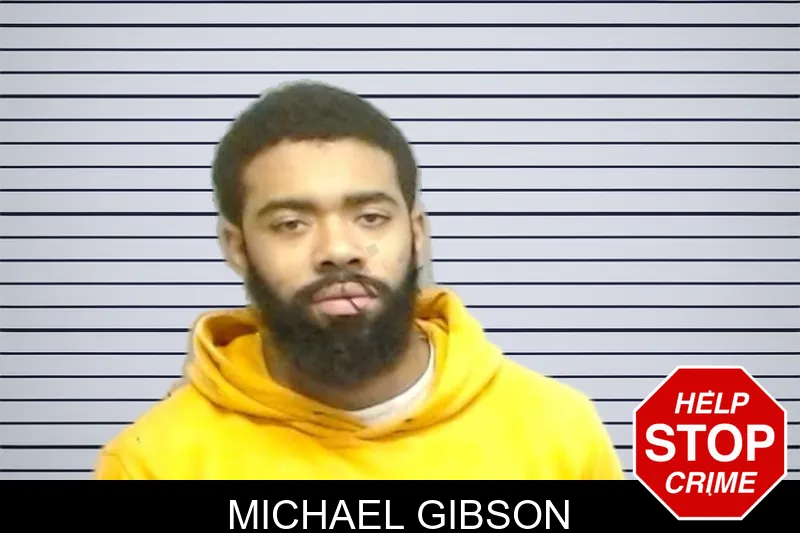 Michael Gibson mugshot