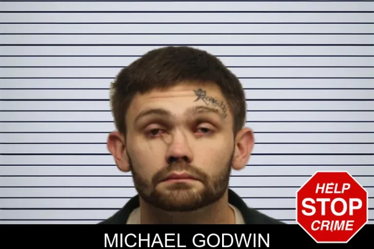 Michael Godwin