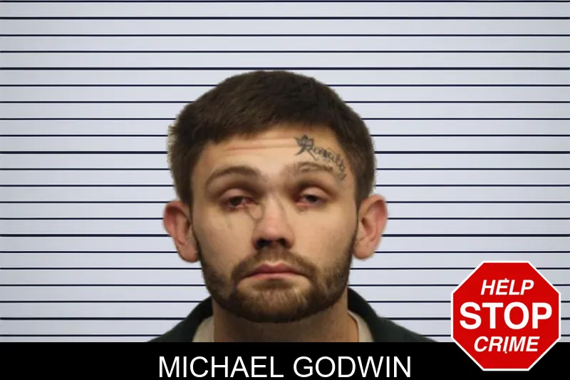 Michael Godwin mugshot – Chatham County , Georgia Michael Godwin mugshot