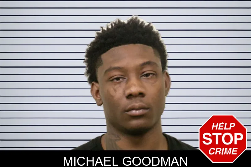 Michael Goodman mugshot – Bulloch County , Georgia Michael Goodman mugshot