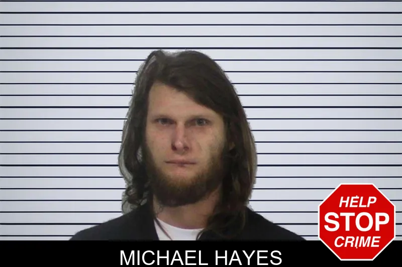 Michael Hayes Mugshots