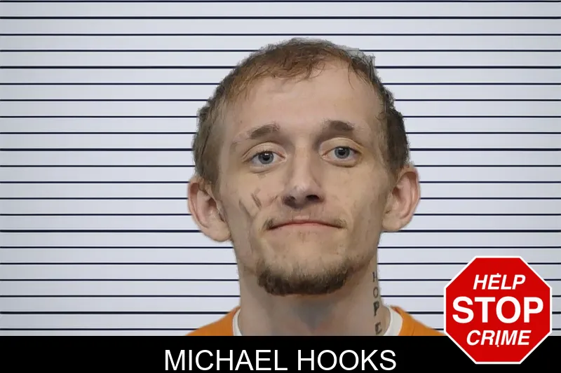Michael Hooks mugshot
