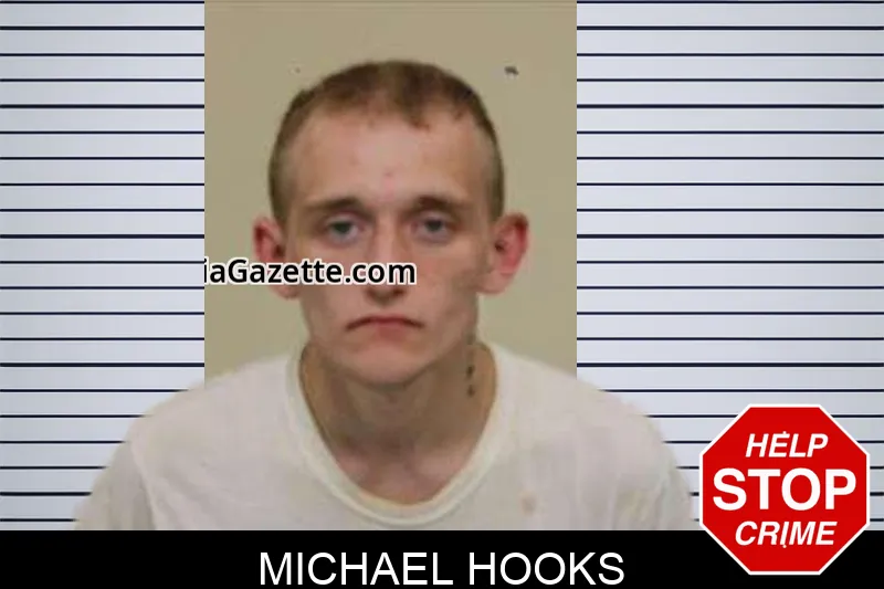 Michael Hooks mugshot