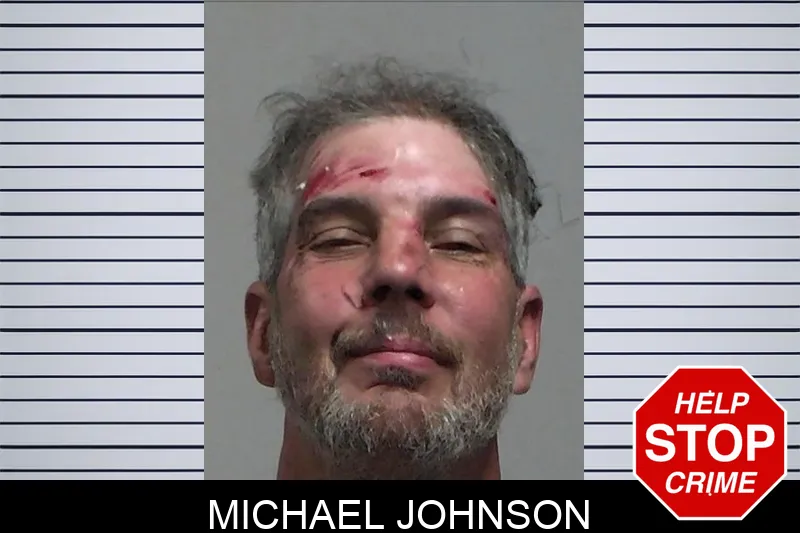 Michael Johnson mugshot