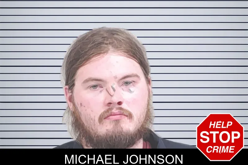Michael Johnson mugshot – Lowndes County , Georgia Michael Johnson mugshot
