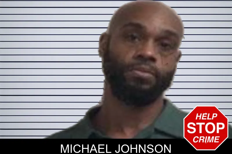 Michael Johnson Mugshots