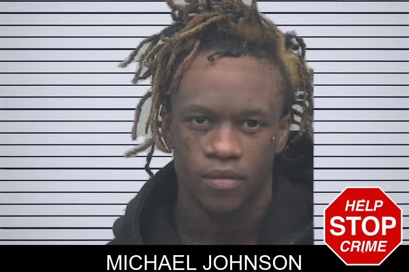 Michael Johnson Mugshots