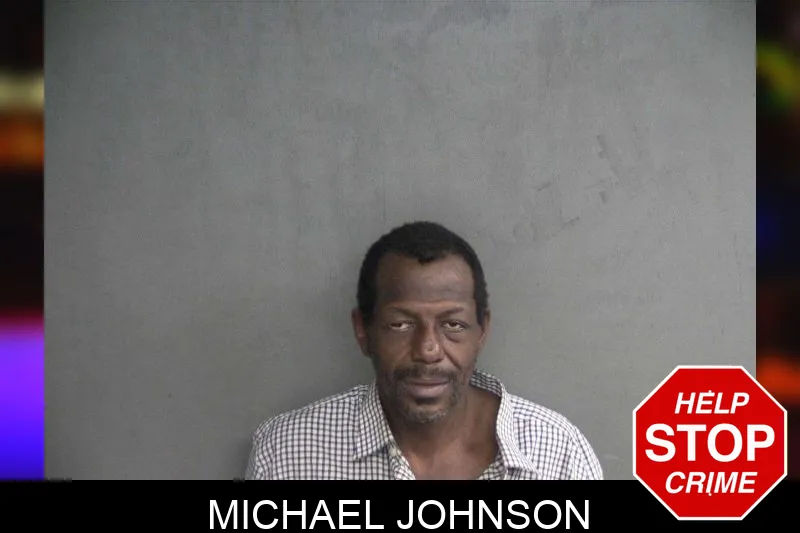 Michael Johnson Mugshots