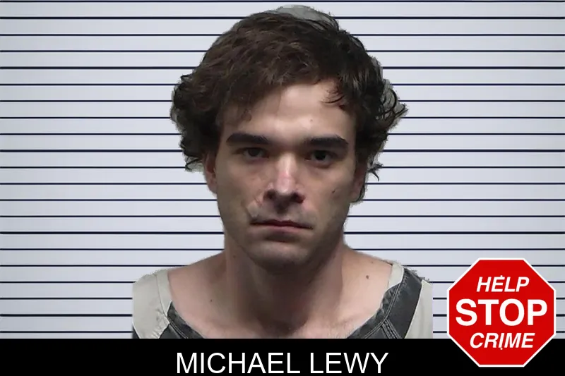 Michael Lewy Mugshots