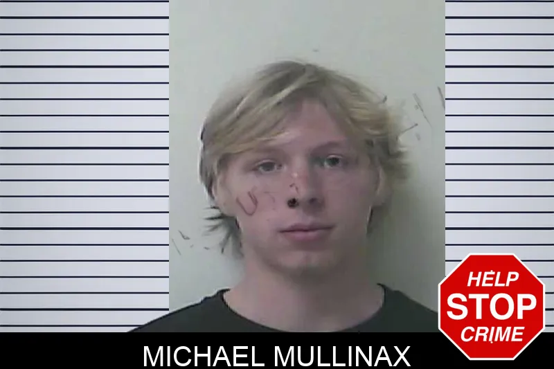 Michael Mullinax Mugshots
