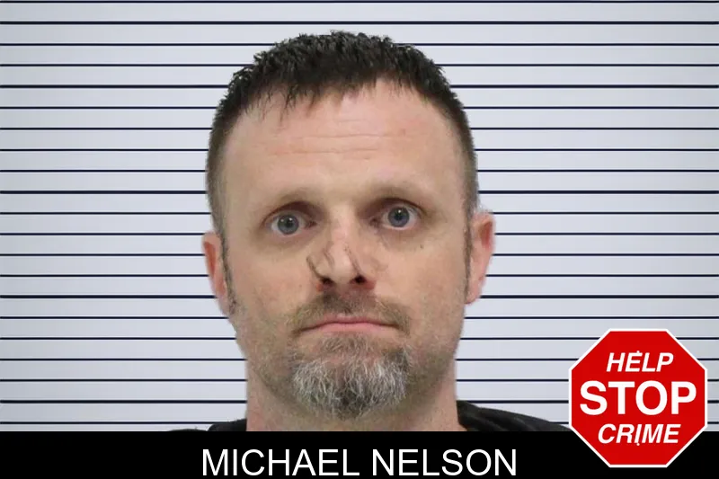 Michael Nelson Mugshots