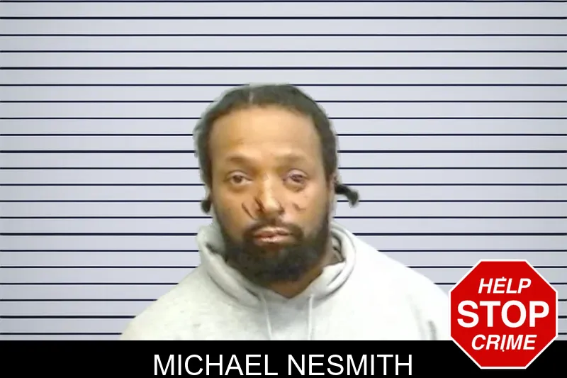 Michael Nesmith mugshot